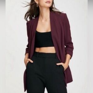 Aritzia Babaton Keith Blazer Jacket